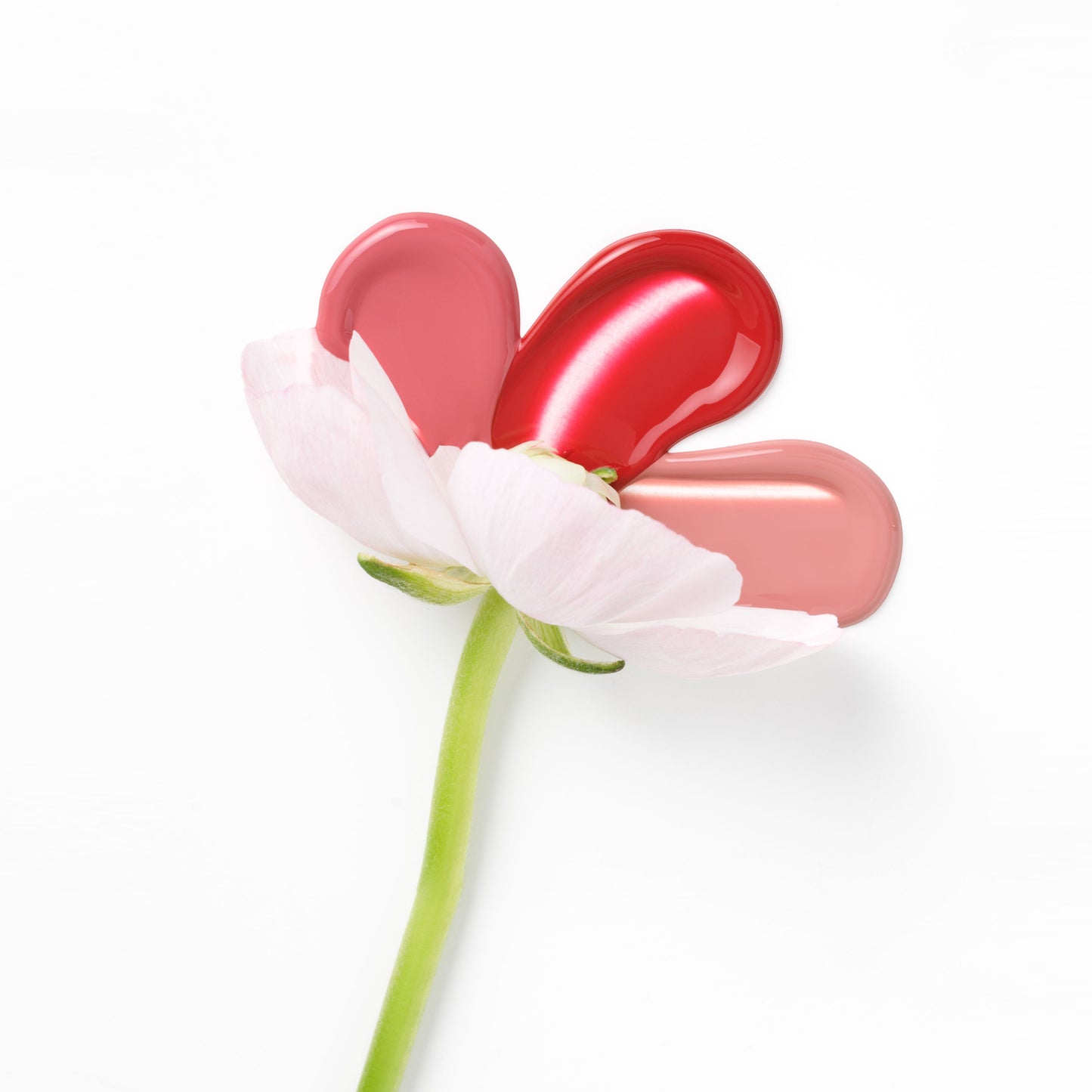 Liquid Lipstick - Bloom Loud